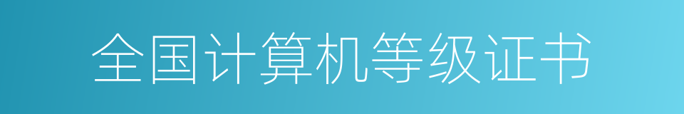 全国计算机等级证书的同义词