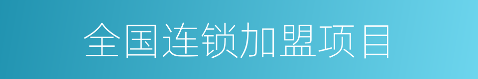 全国连锁加盟项目的同义词