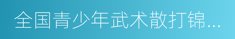 全国青少年武术散打锦标赛的同义词