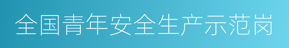 全国青年安全生产示范岗的同义词