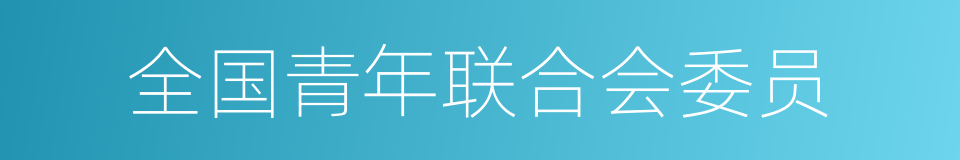 全国青年联合会委员的同义词