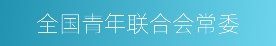 全国青年联合会常委的同义词