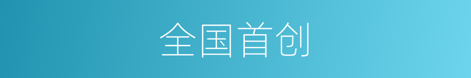 全国首创的同义词