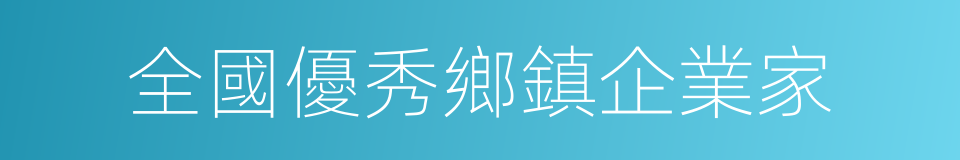 全國優秀鄉鎮企業家的同義詞