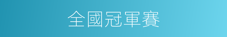 全國冠軍賽的同義詞