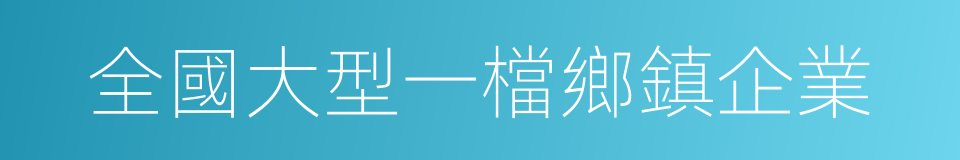 全國大型一檔鄉鎮企業的同義詞