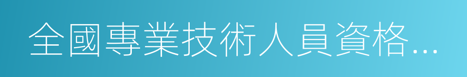 全國專業技術人員資格考試報名服務平台的同義詞