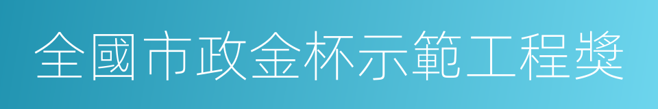 全國市政金杯示範工程獎的同義詞