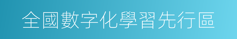 全國數字化學習先行區的同義詞