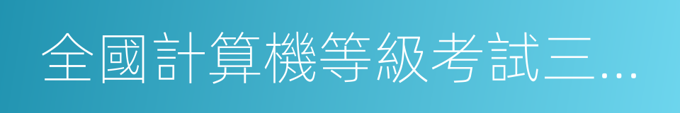 全國計算機等級考試三級網絡技術的同義詞