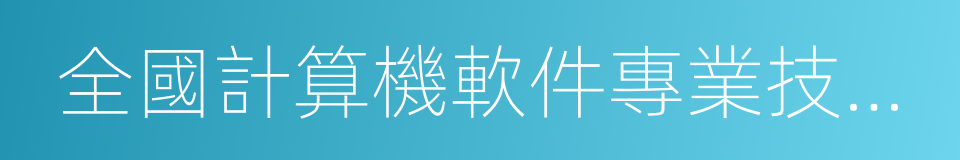 全國計算機軟件專業技術資格的同義詞