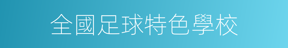 全國足球特色學校的同義詞