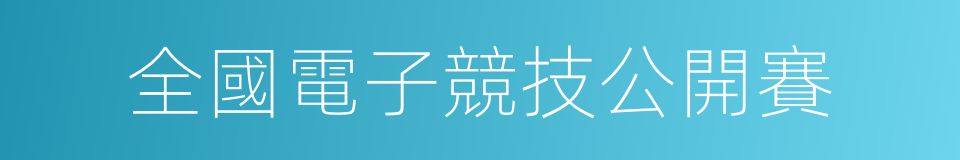 全國電子競技公開賽的同義詞