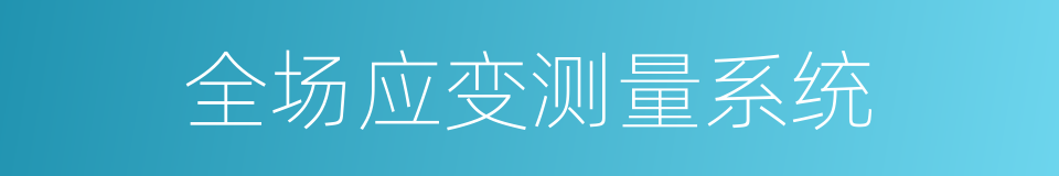 全场应变测量系统的同义词