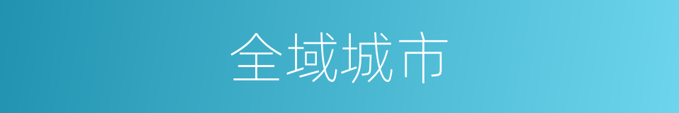 全域城市的同义词