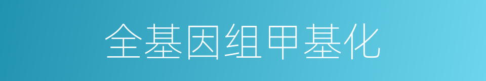 全基因组甲基化的同义词