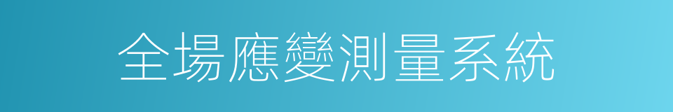 全場應變測量系統的同義詞