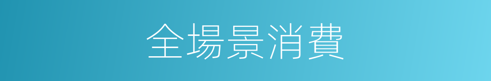 全場景消費的同義詞