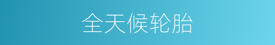 全天候轮胎的同义词