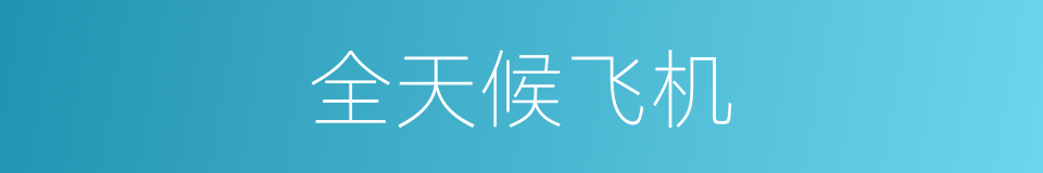 全天候飞机的同义词