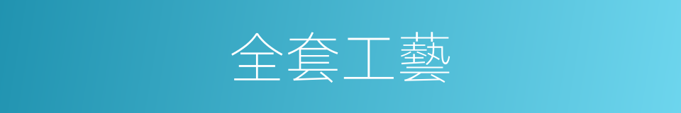 全套工藝的同義詞