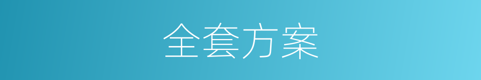 全套方案的同义词