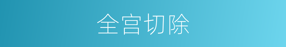 全宫切除的同义词