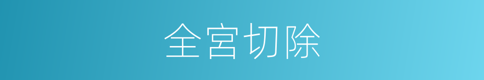 全宮切除的同義詞