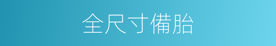 全尺寸備胎的同義詞