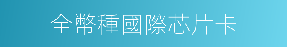 全幣種國際芯片卡的同義詞