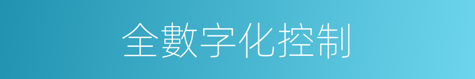 全數字化控制的同義詞
