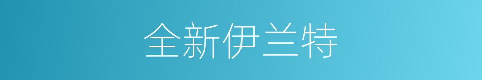 全新伊兰特的同义词