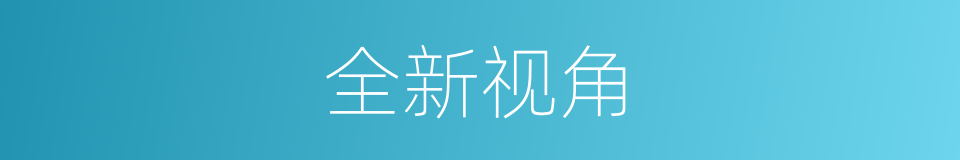 全新视角的意思