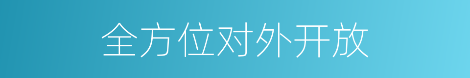 全方位对外开放的同义词
