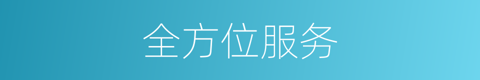 全方位服务的同义词