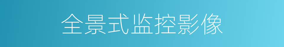 全景式监控影像的同义词