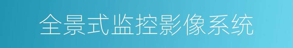 全景式监控影像系统的同义词