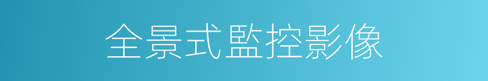 全景式監控影像的同義詞