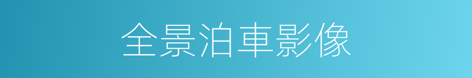 全景泊車影像的同義詞