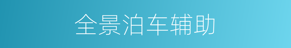 全景泊车辅助的同义词