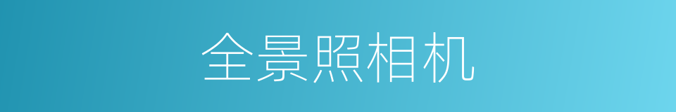 全景照相机的同义词