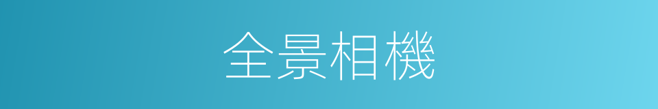 全景相機的同義詞
