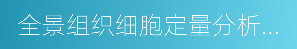 全景组织细胞定量分析系统的同义词