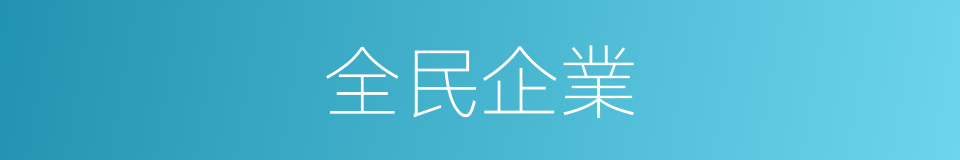 全民企業的同義詞
