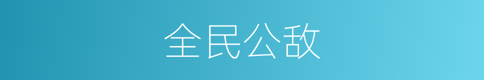 全民公敌的同义词
