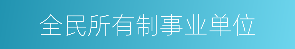 全民所有制事业单位的同义词