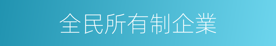 全民所有制企業的同義詞