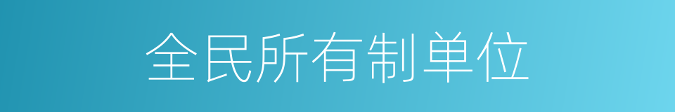 全民所有制单位的同义词