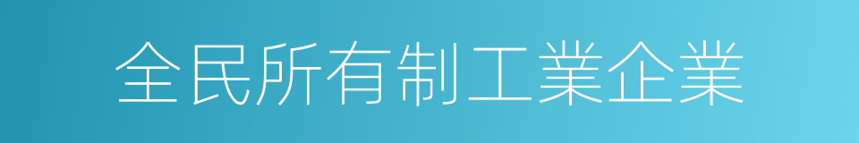 全民所有制工業企業的同義詞