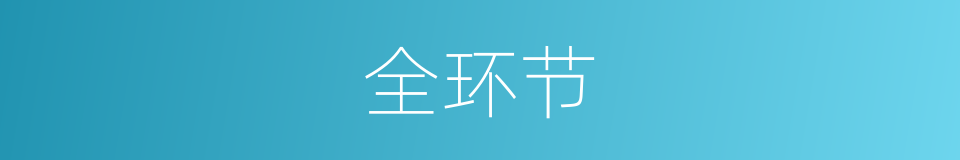 全环节的同义词